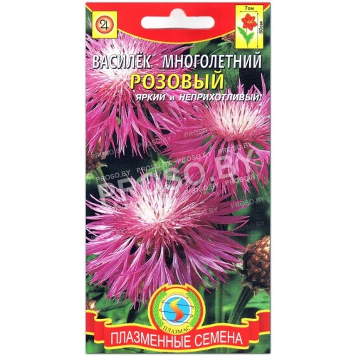 Василек многолетний Розовый