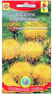 Василек многолетний Золотисто-желтый