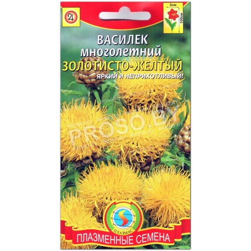 Василек многолетний Золотисто-желтый