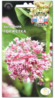 Ваточник Горжетка