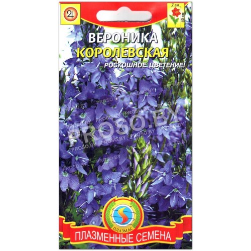 Вероника Королевская