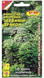 Виноград амурский Зеленый дракон