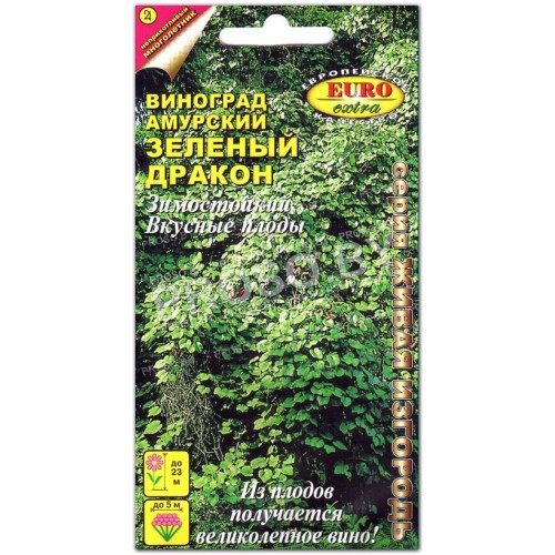 Виноград амурский Зеленый дракон