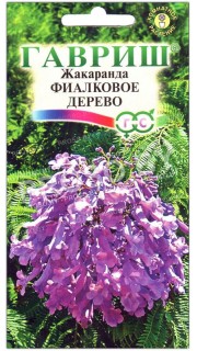 Жакаранда Дельта (фиалковое дерево)