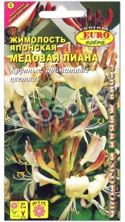 Жимолость японская Медовая лиана