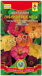Абутилон Гибридная смесь