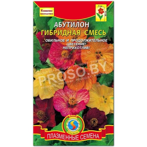 Абутилон Гибридная смесь