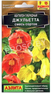 Абутилон гибридный Джульетта, смесь
