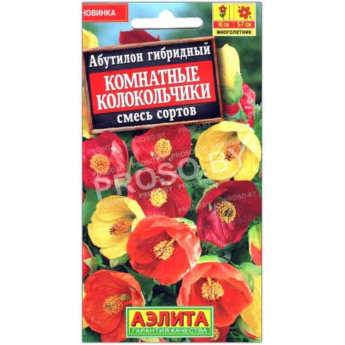 Абутилон гибридный Комнатные колокольчики, смесь
