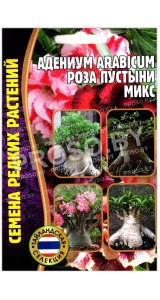 Адениум arabicum Роза пустыни, смесь