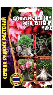 Адениум arabicum Роза пустыни, смесь
