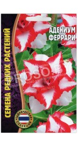 Адениум Феррари