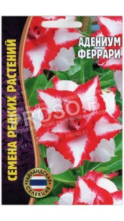 Адениум Феррари