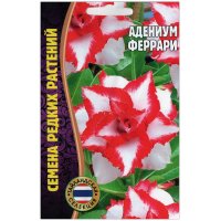 Адениум Феррари