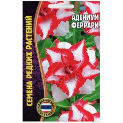 Адениум Феррари