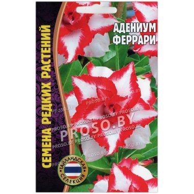 Адениум Феррари