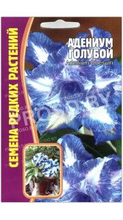 Адениум Голубой