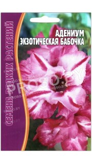 Адениум Экзотическая бабочка