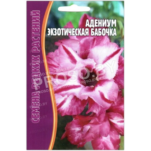 Адениум Экзотическая бабочка