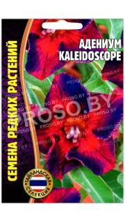Адениум Kaleidoscope