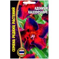 Адениум Kaleidoscope