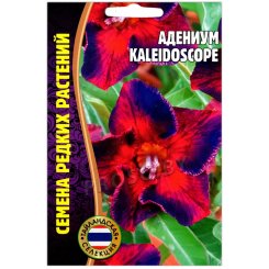 Адениум Kaleidoscope