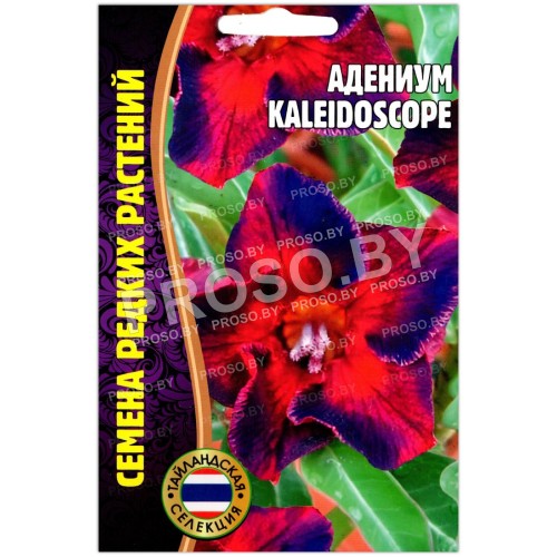 Адениум Kaleidoscope