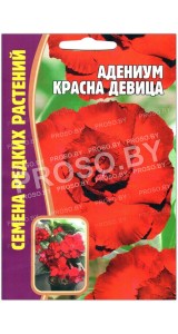 Адениум Красна девица