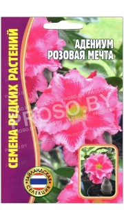 Адениум Розовая мечта