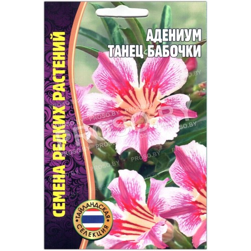 Адениум Танец бабочки