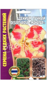 Адениум тучный Desert rose Манатар