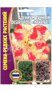 Адениум тучный Desert rose Манатар