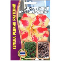 Адениум тучный Desert rose Манатар