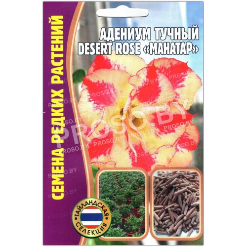 Адениум тучный Desert rose Манатар