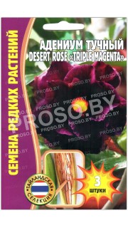 Адениум тучный Desert rose triple magenta