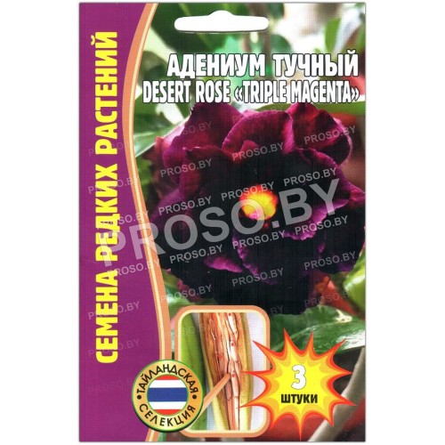 Адениум тучный Desert rose triple magenta