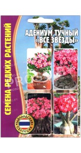 Адениум тучный Все звезды