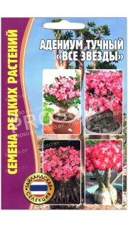 Адениум тучный Все звезды