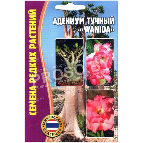 Адениум тучный Wanida