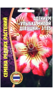Адениум Улыбка милой девушки 3185