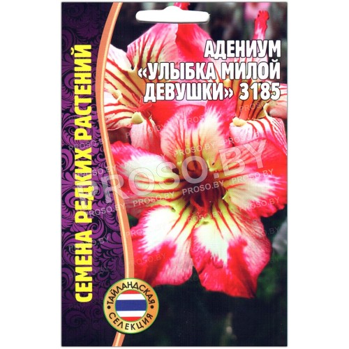 Адениум Улыбка милой девушки 3185