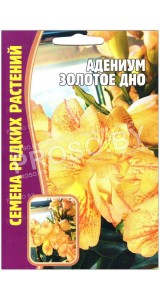 Адениум Золотое дно