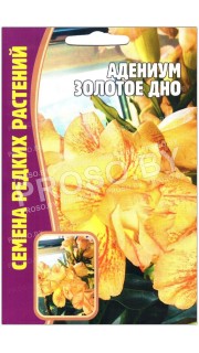 Адениум Золотое дно