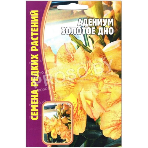 Адениум Золотое дно