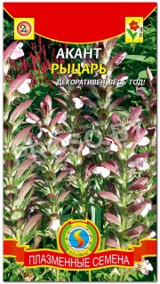 Акант Рыцарь