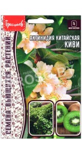 Актинидия китайская Киви