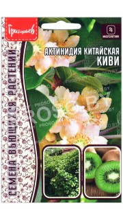Актинидия китайская Киви