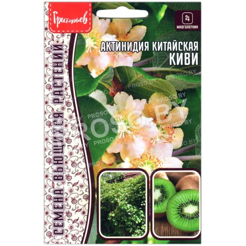 Актинидия китайская Киви
