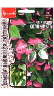 Актинидия Коломикта