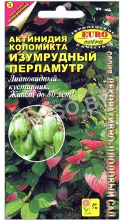 Актинидия коломикта Изумрудный перламутр
